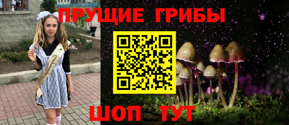 Псилоцибиновые грибы Psilocybe Губкин