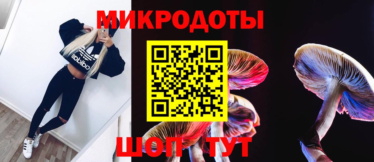 Псилоцибиновые грибы Magic Shrooms  Псилоцибиновые грибы MAGIC MUSHROOMS  Вход с VPN  где купить   Губкин 